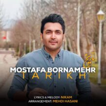 دانلود آهنگ جدید مصطفی برنامهر به نام تاریخ